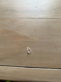 Fake nail we found on the dining table