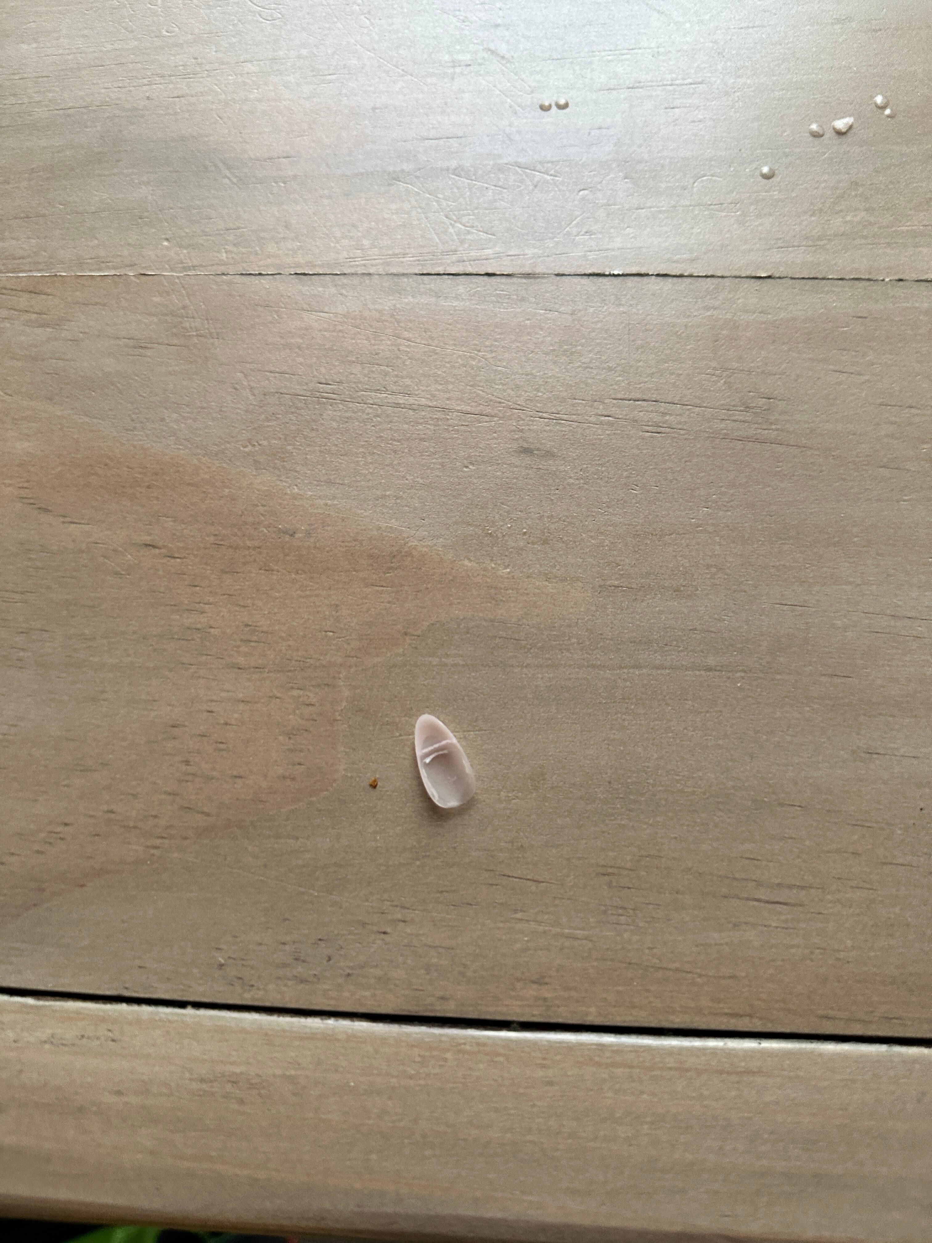 Fake nail we found on the dining table 