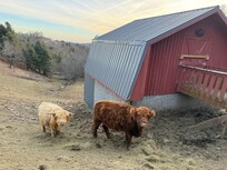 Friendly neighbors we liked to visit during our morning walks.