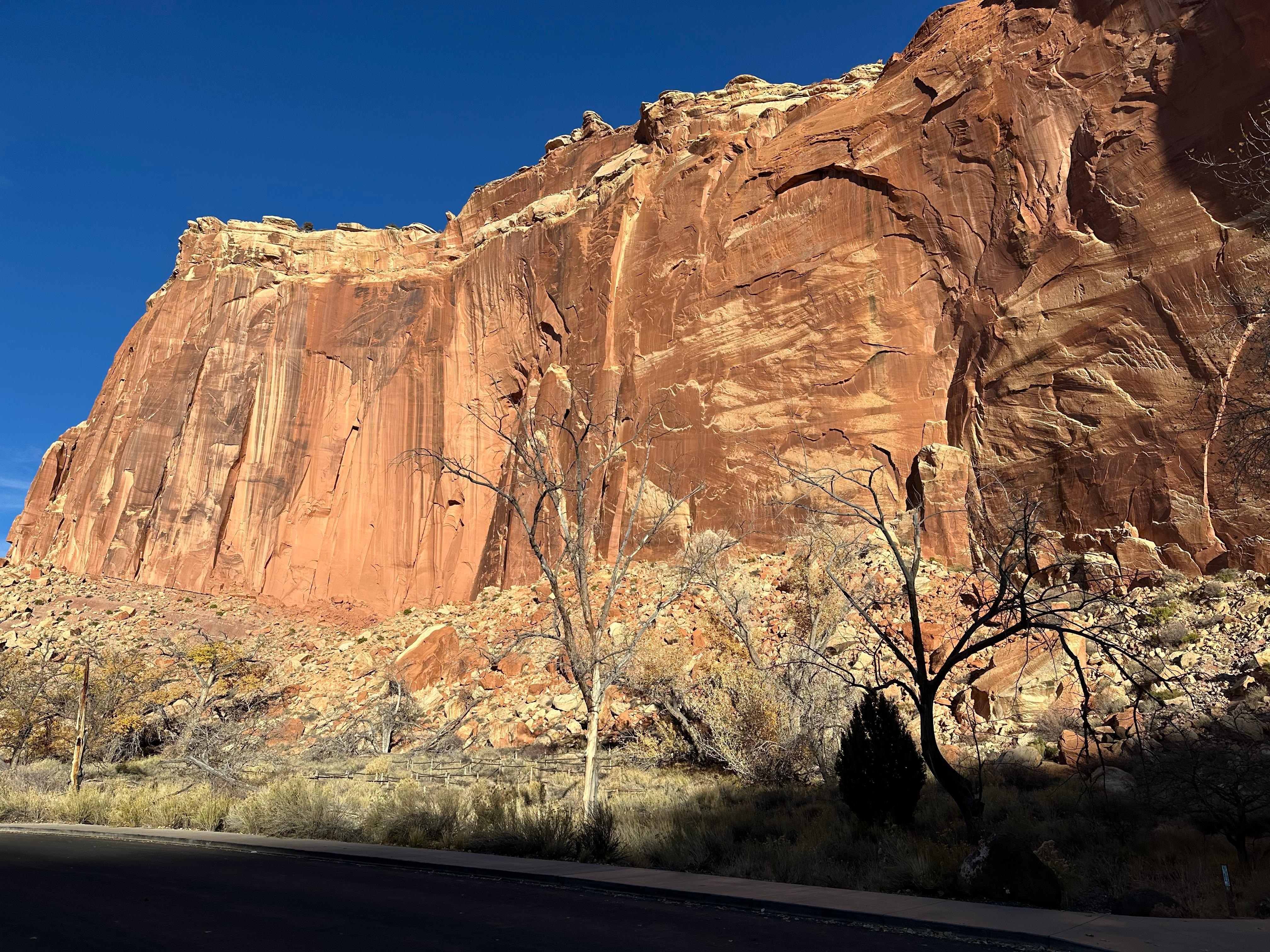 View of the northern lights from our cabin. 