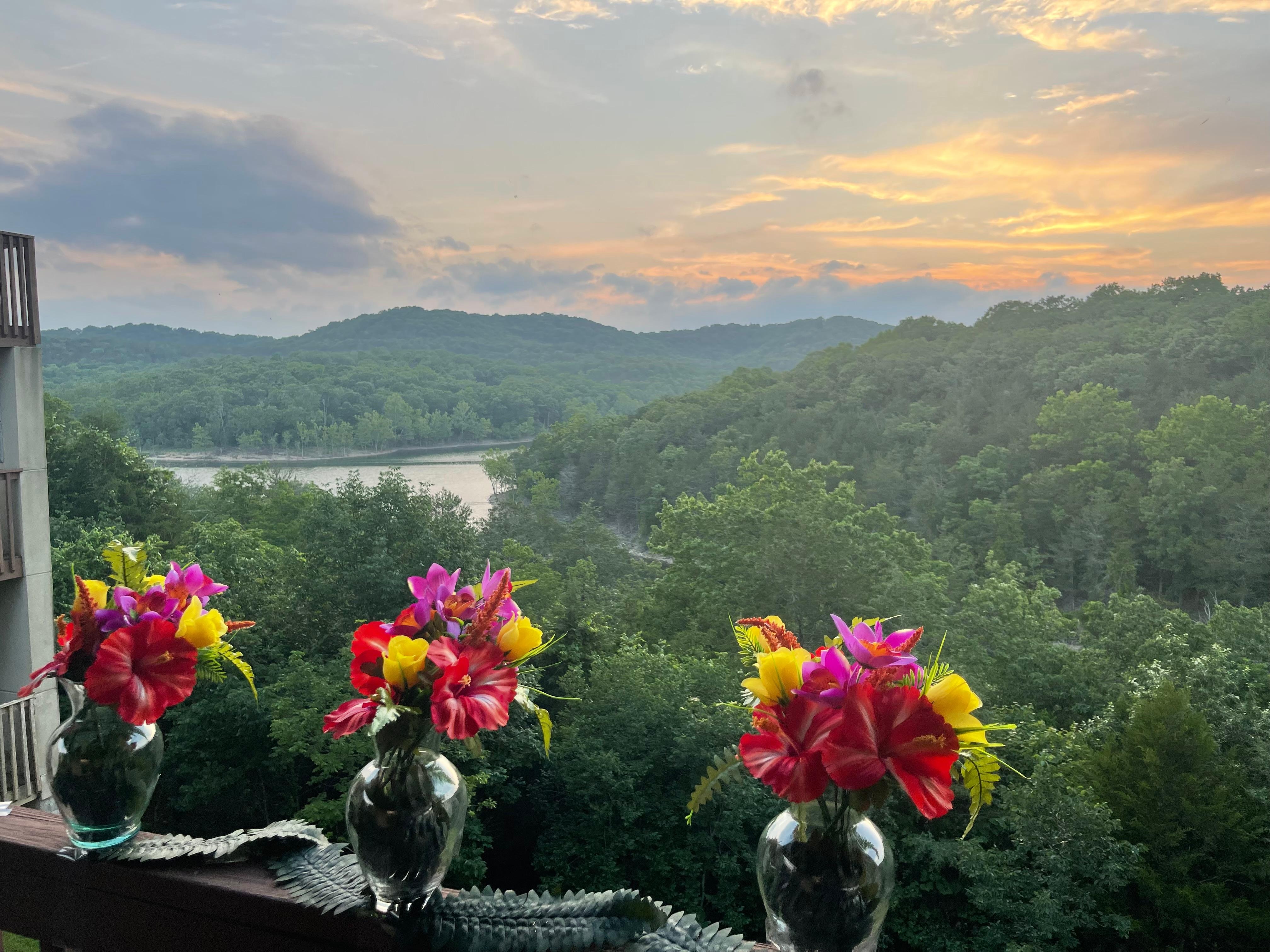 Beautiful Vista