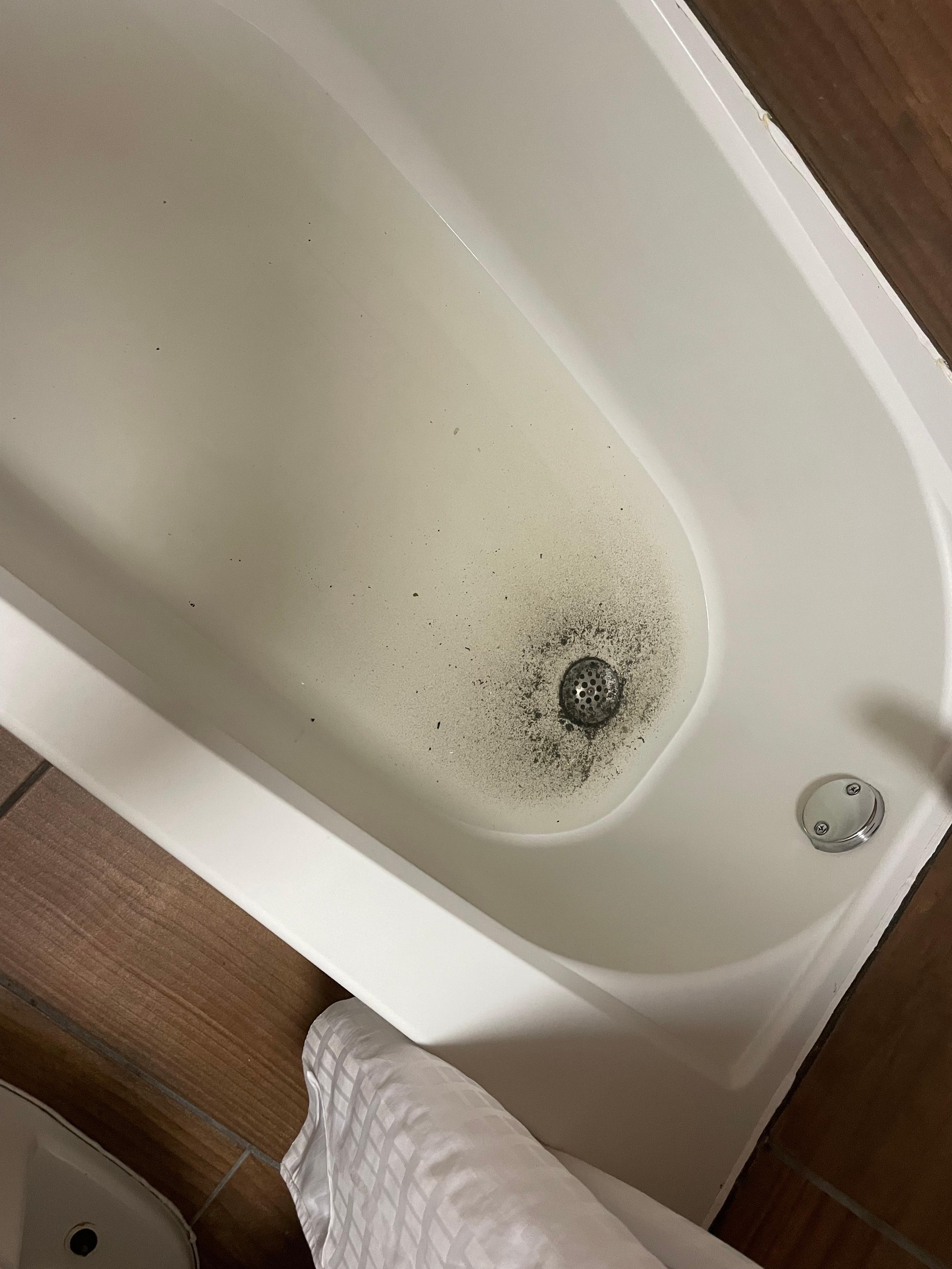 Second morning 2” sewage water in tub. Really disgusting. July 12th. 