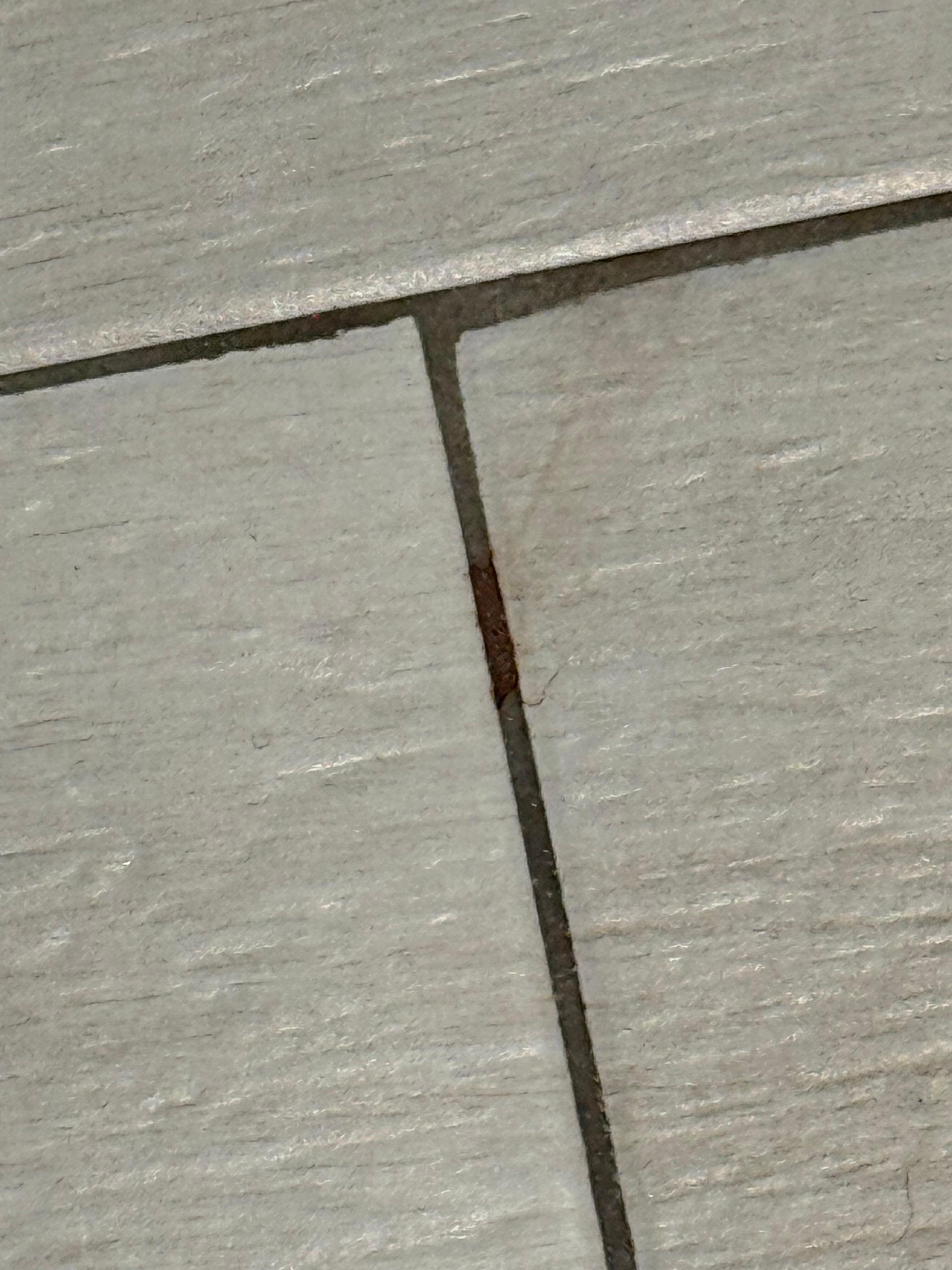 Smear of blood on the floor they never cleaned even after being asked.