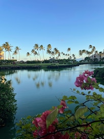 Lanai view