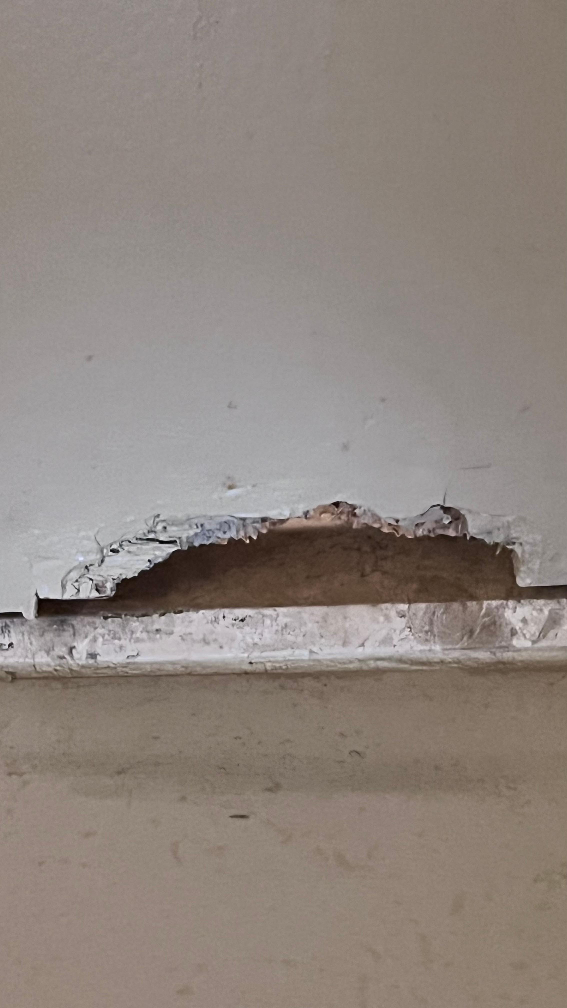 Looks like a dog chewed the door. 