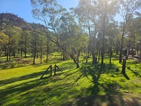 View from glamping room
