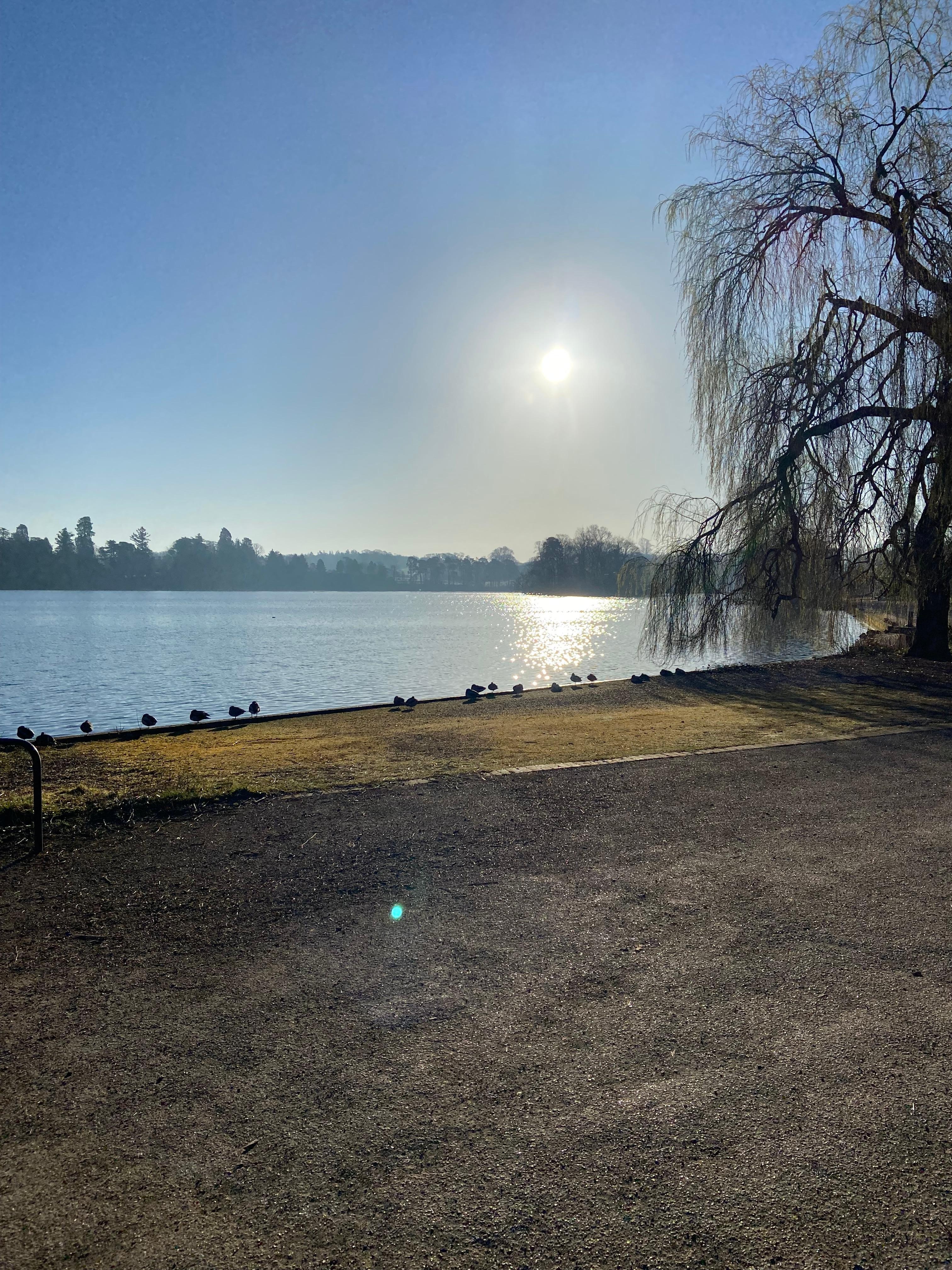 Early morning walks around the Mere