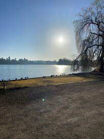 Early morning walks around the Mere