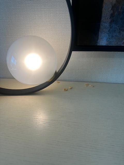 Frosted Flaked spilled in the lobby area for 2 days