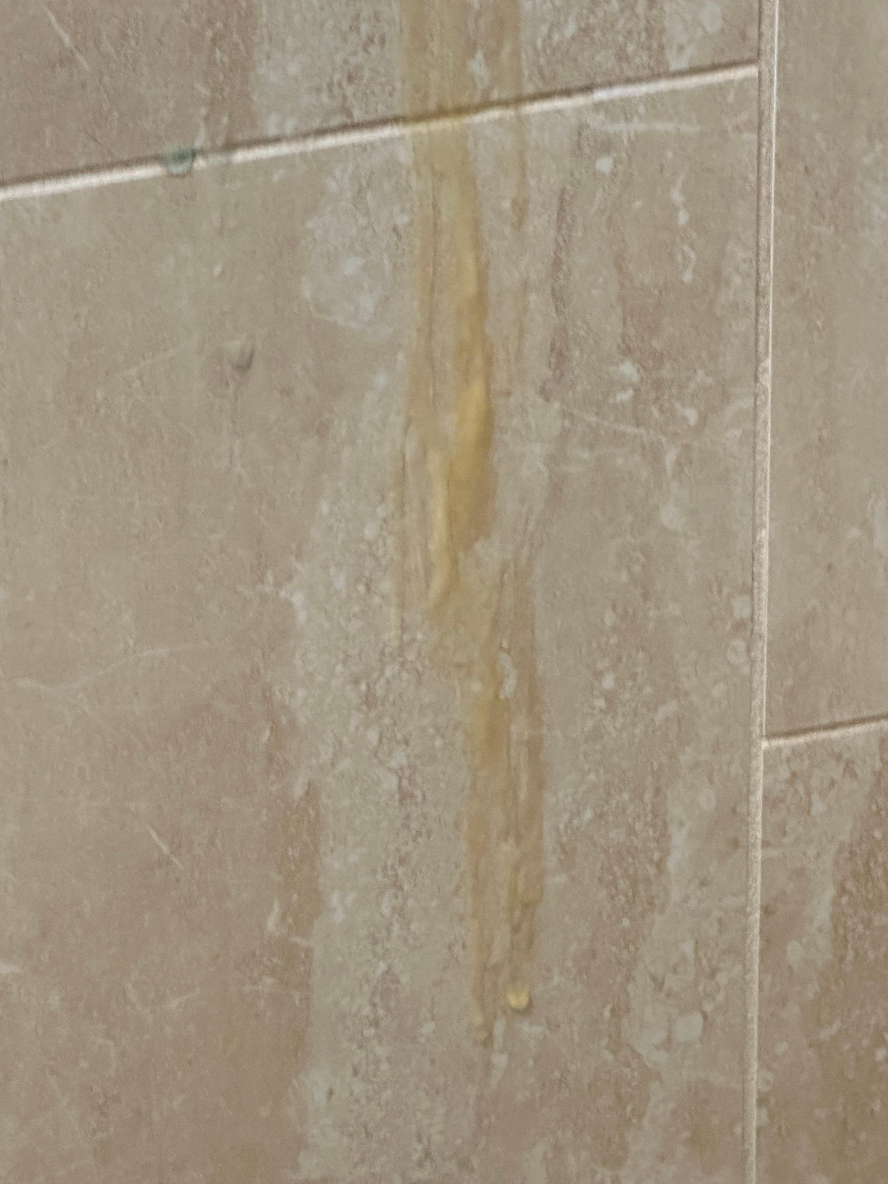 Thick dried on bathing products running all the way down the back wall of shower and floor, this was not cleaned from the last guests. I realize we asked for early check in  but we paid $100 extra for that 
