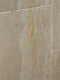 Thick dried on bathing products running all the way down the back wall of shower and floor, this was not cleaned from the last guests. I realize we asked for early check in  but we paid $100 extra for that