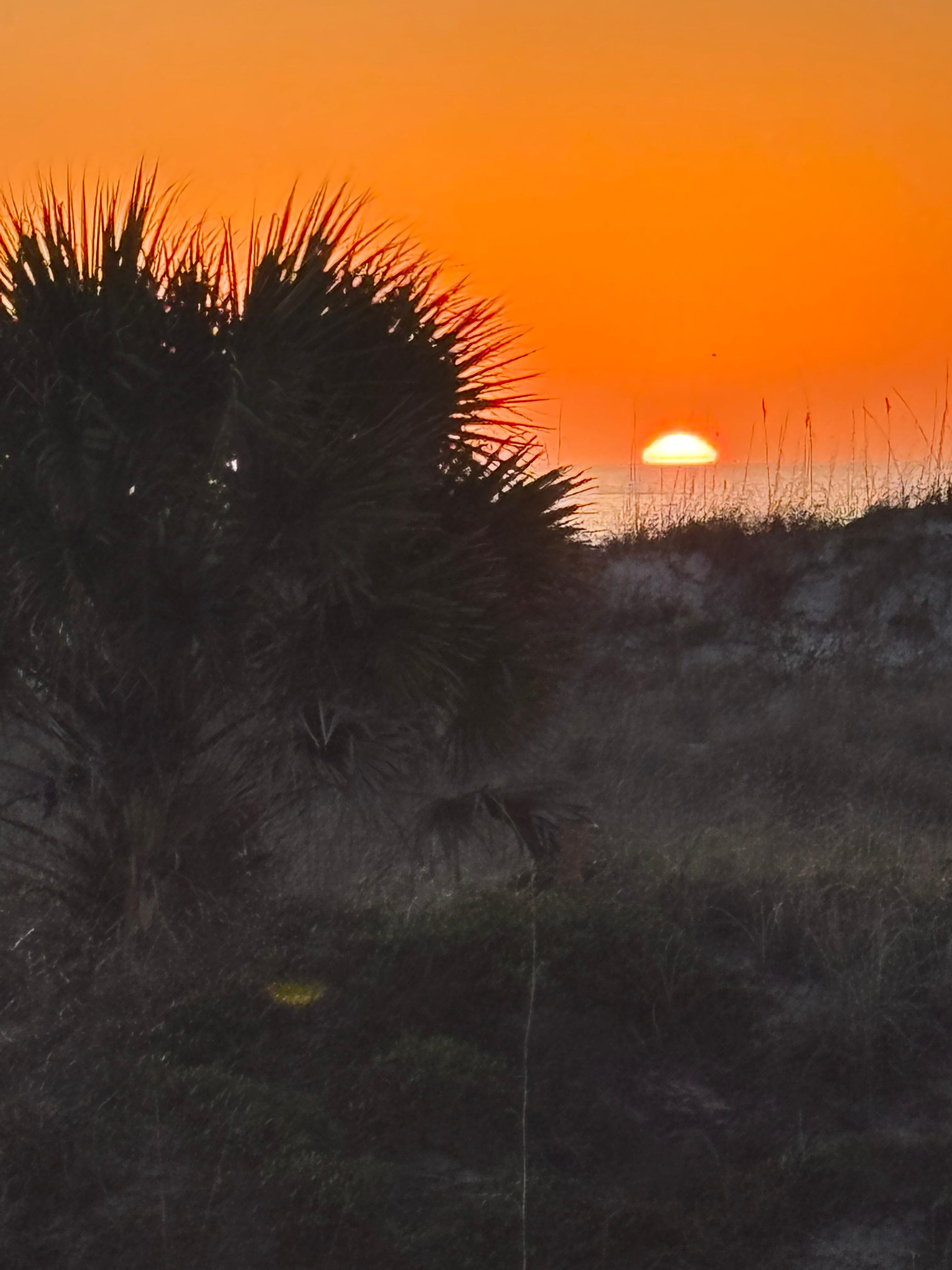 Sunrise from the condo’s private patio.

