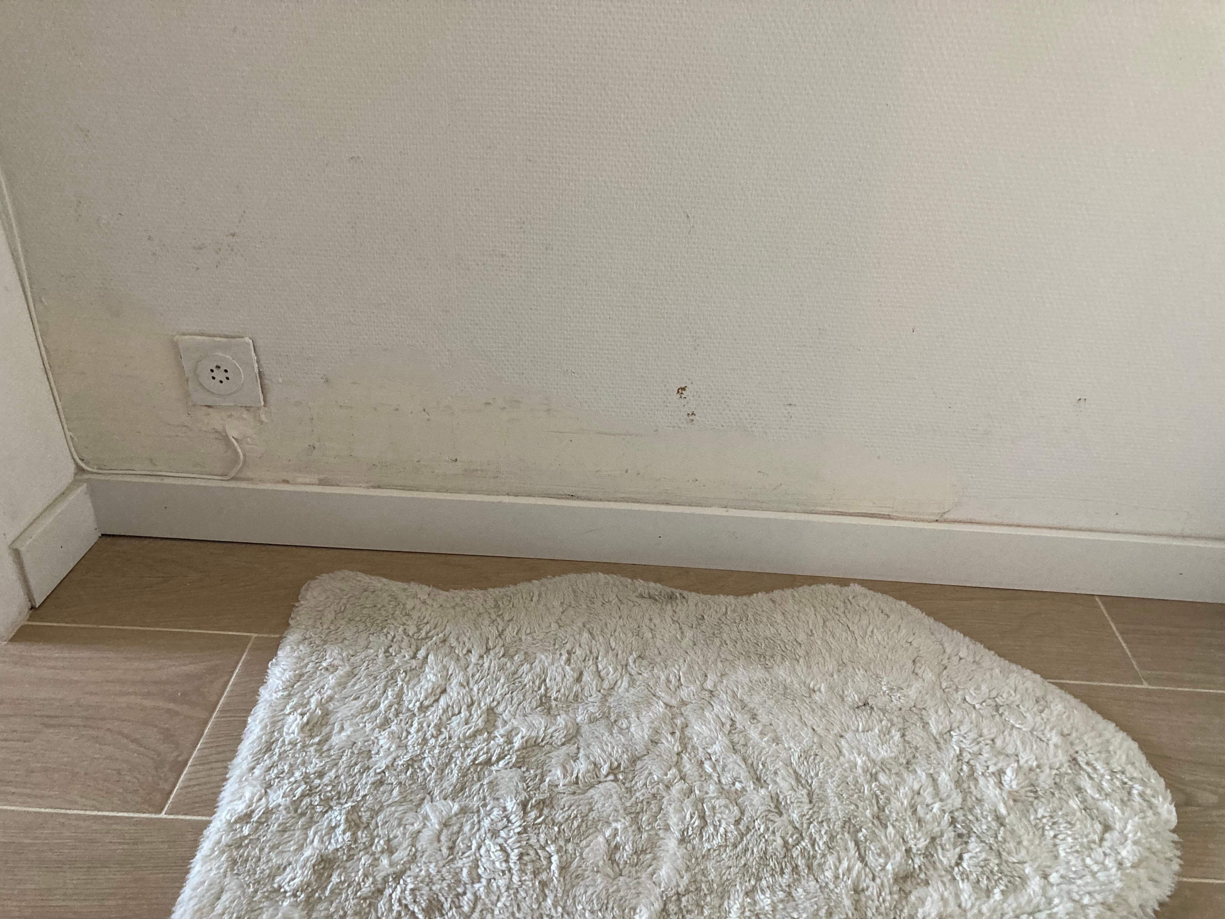 Dirty wall and rug at the entry hall