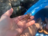 Kayaking friend