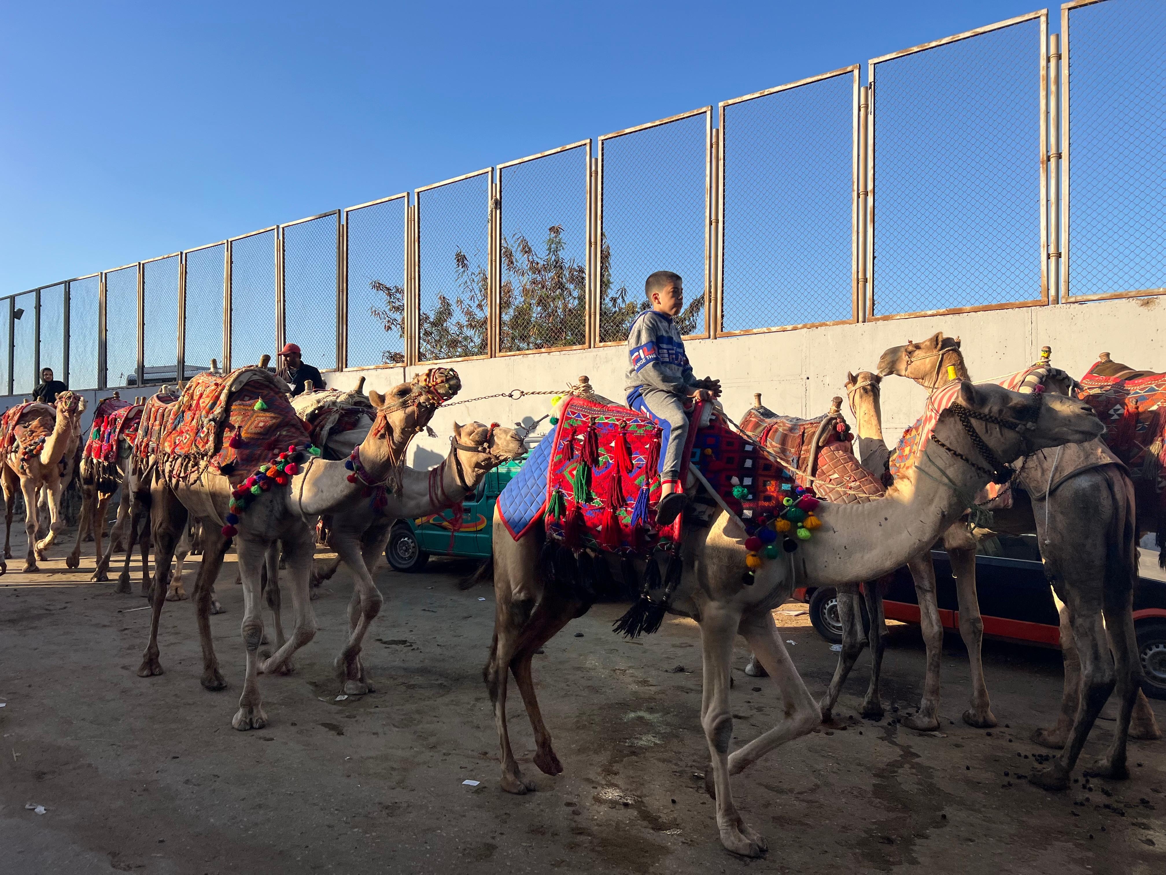 Entrée de rue de chameaux , ODEUR D’URINE ET EXCRÉMENTS À TOUT LES MATINS … et même odeur de la chambre 