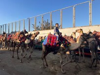 Entrée de rue de chameaux , ODEUR D’URINE ET EXCRÉMENTS À TOUT LES MATINS … et même odeur de la chambre