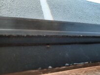 Small bugs