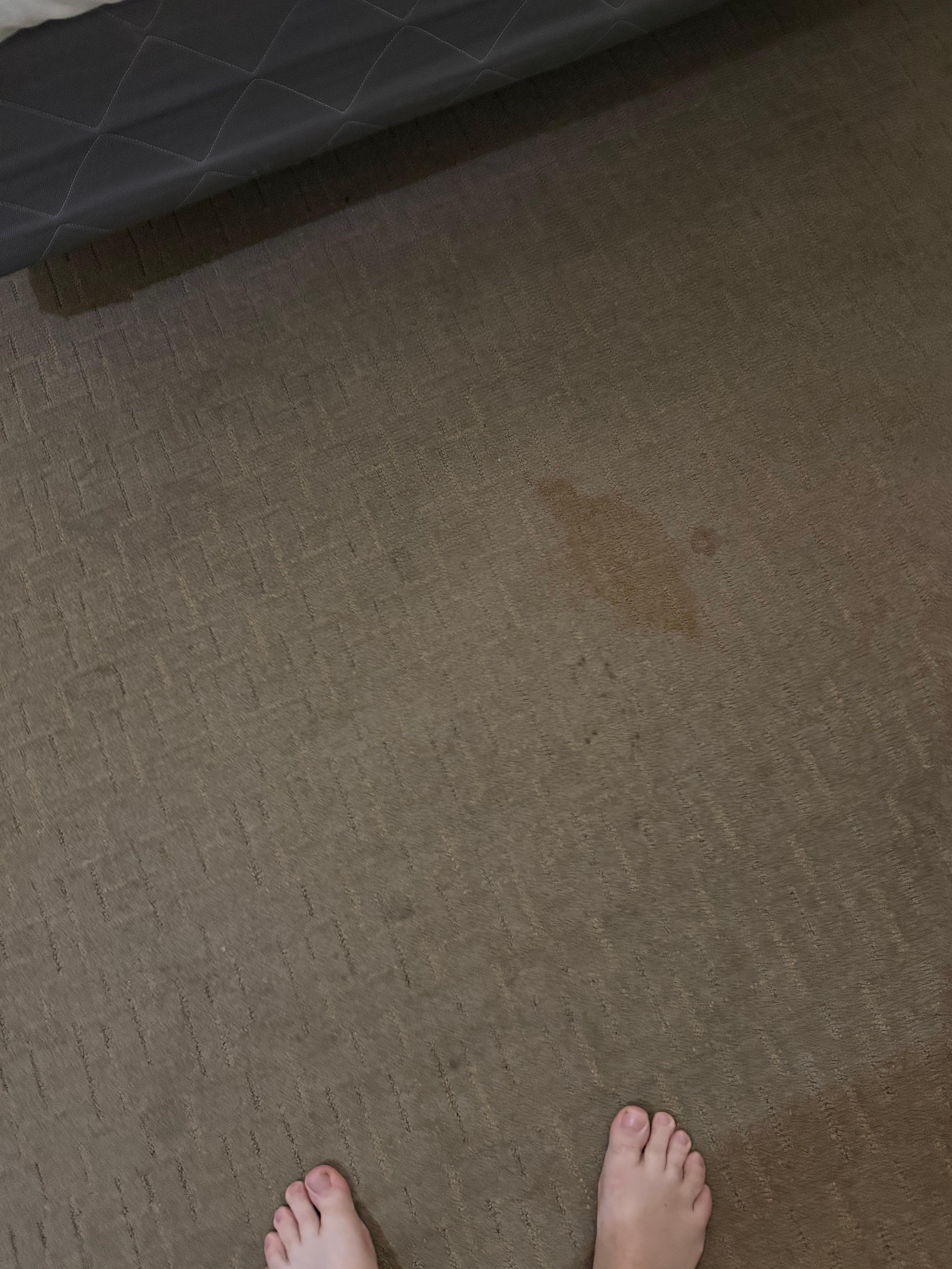 carpet, some stains