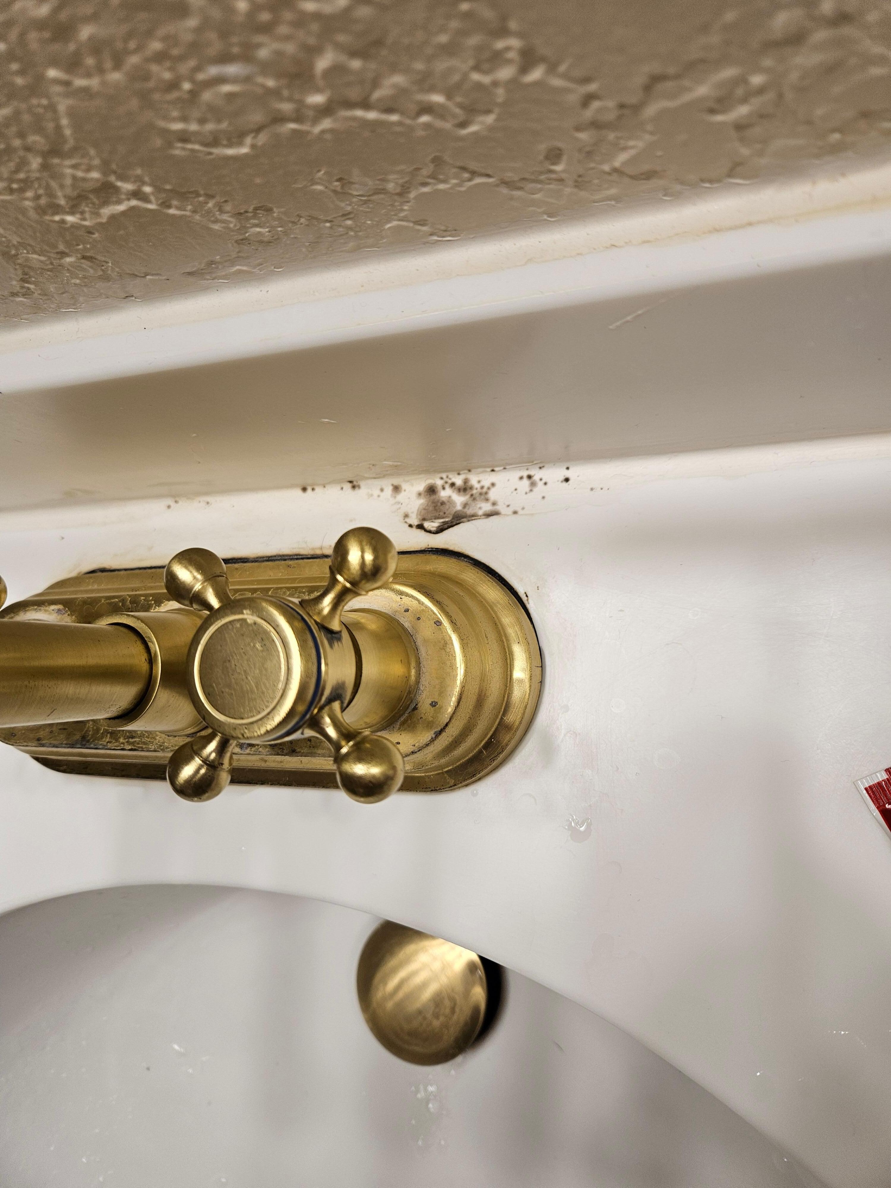 Mold in sink