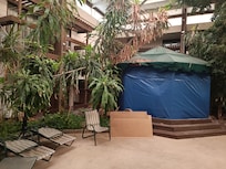 Vegetación y microclima interior