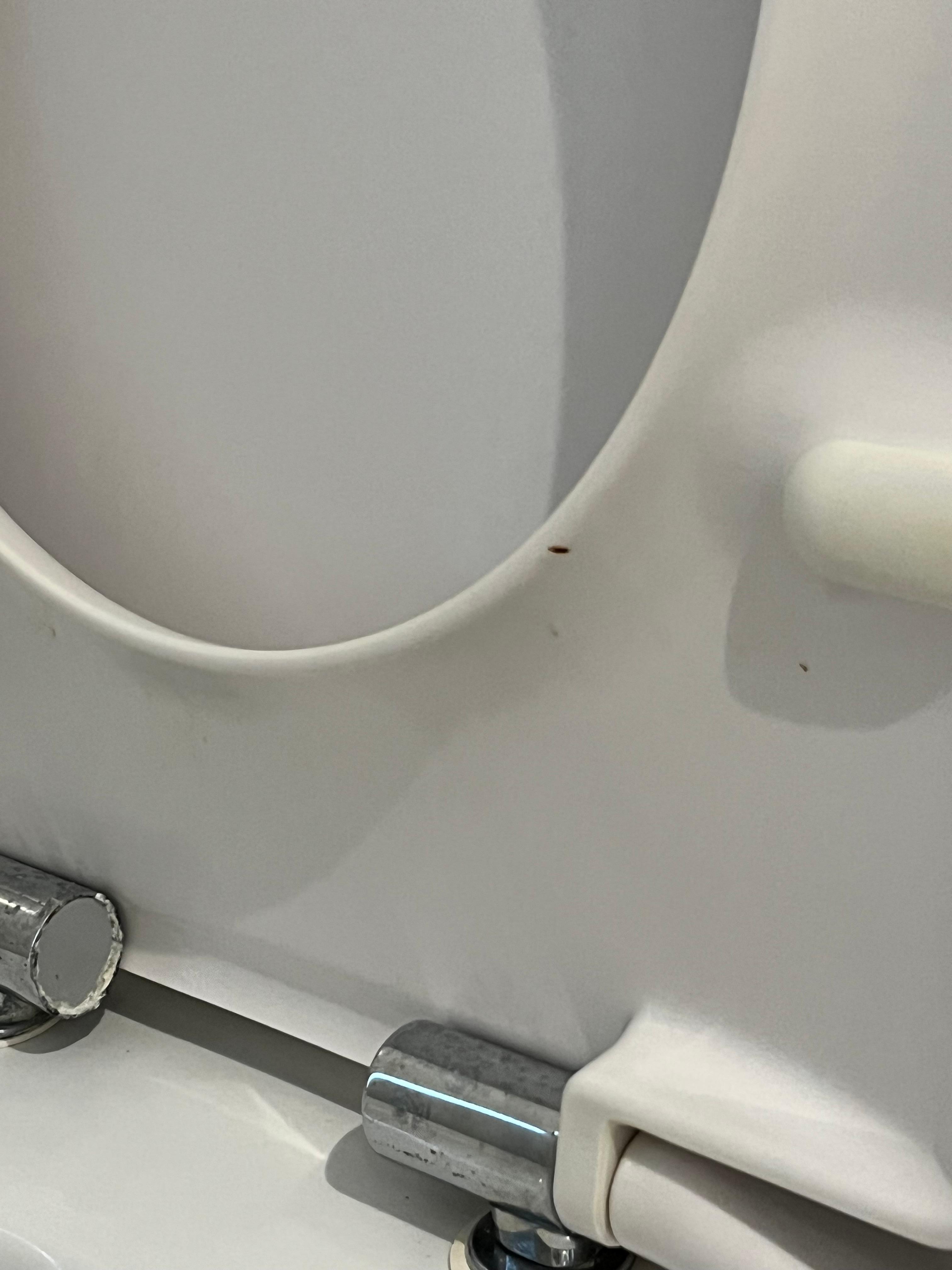 Toilette Zimmer2: nicht besser. 