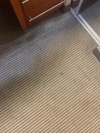 The carpet in my room #202