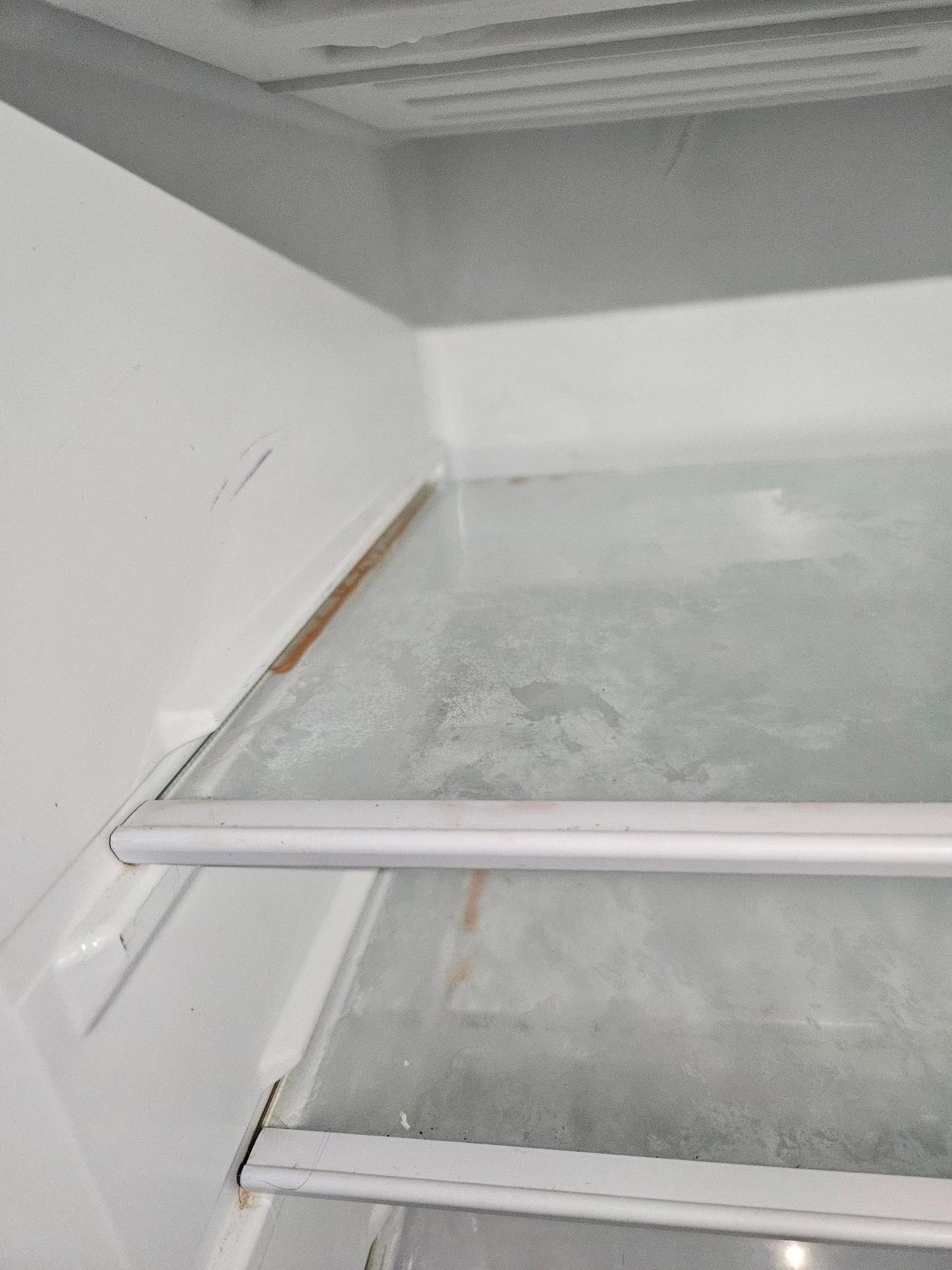 Blood stain in Dirty Fridge