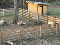 Literally below was a run down pig/goat farm