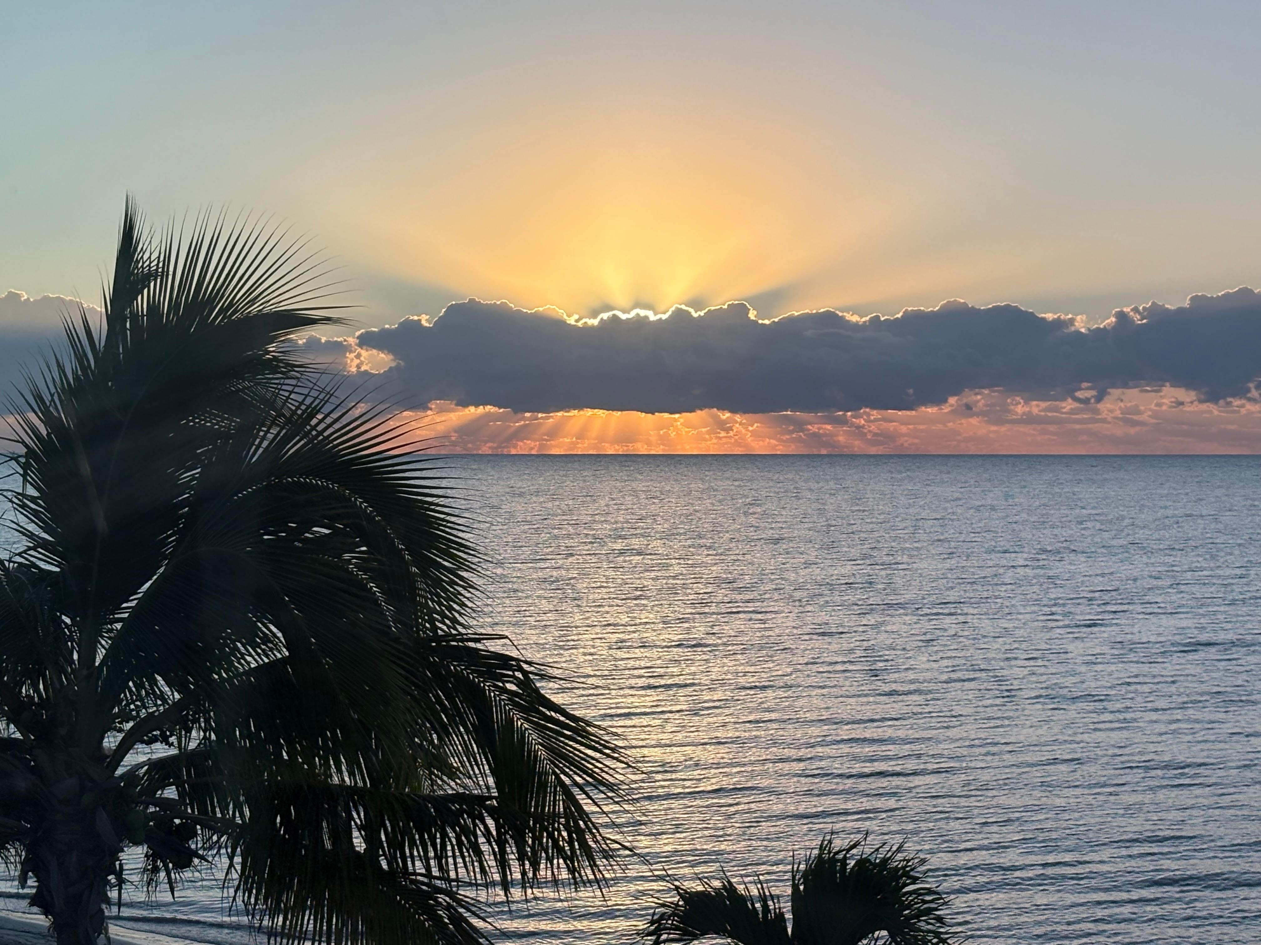 Sunrise from the living room. 