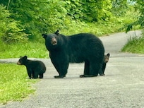Our Welcoming Committee