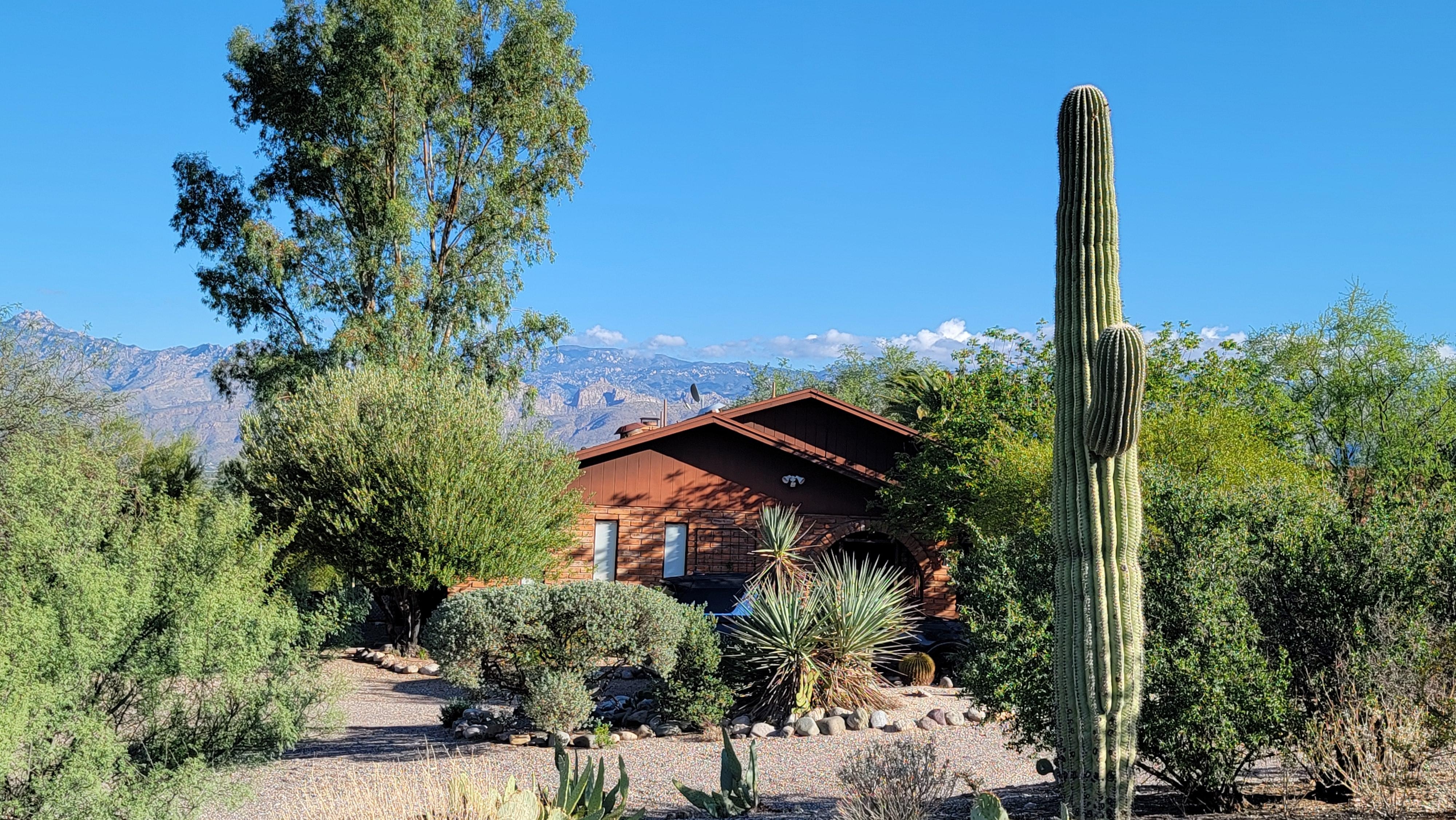 House is nestled in the desert