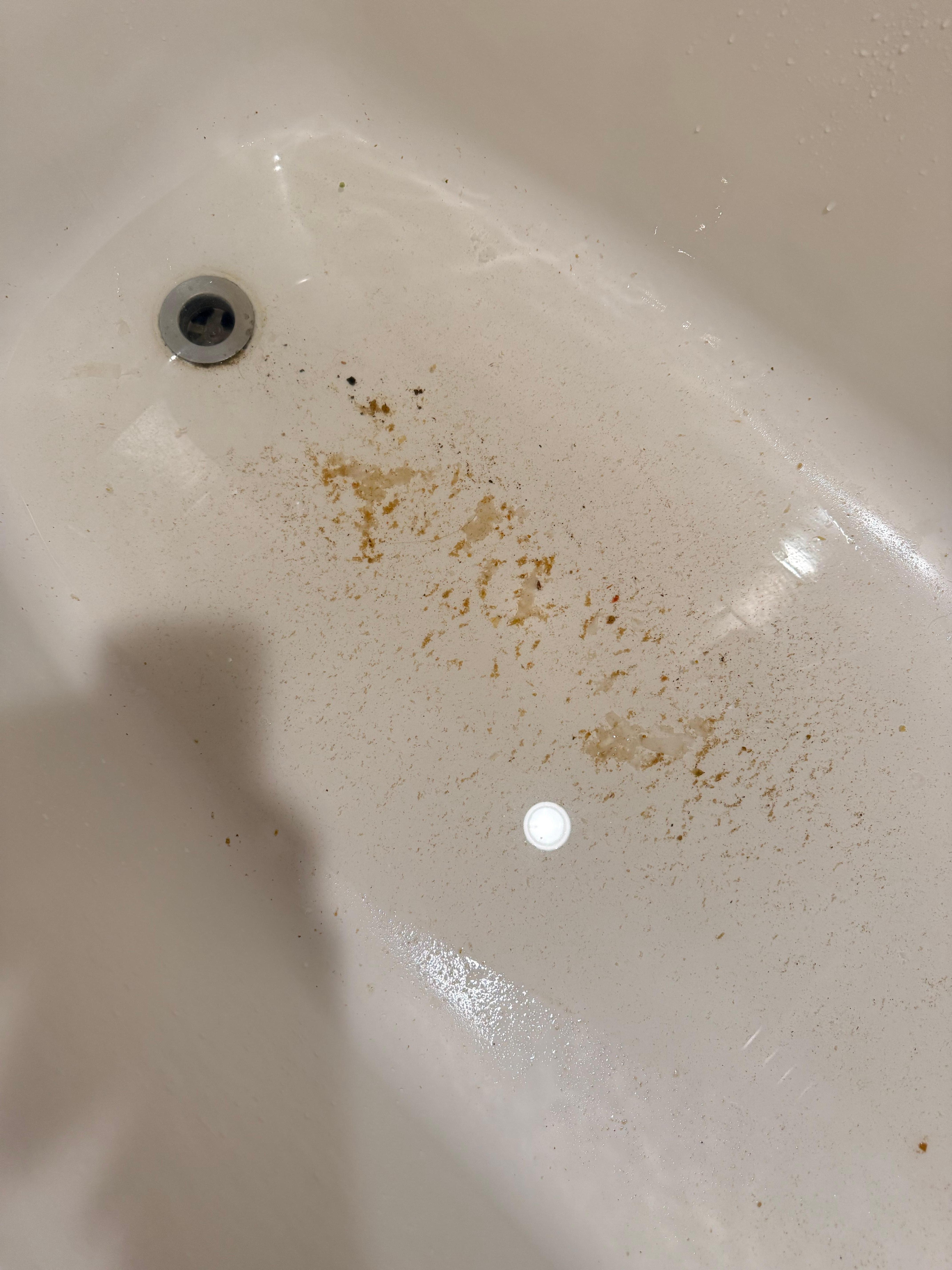 Feces in bathtub