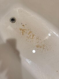 Feces in bathtub