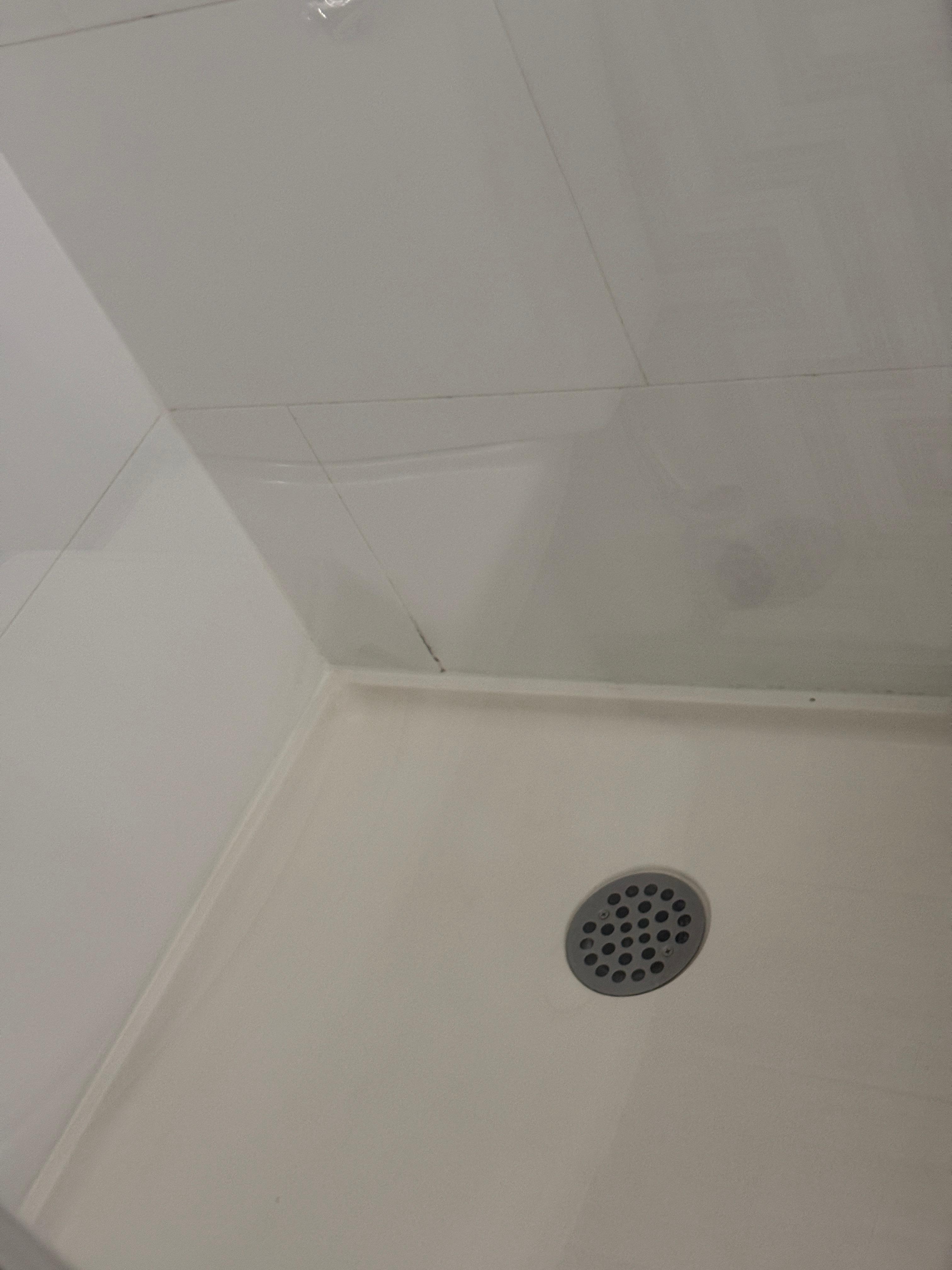 Mold in shower 