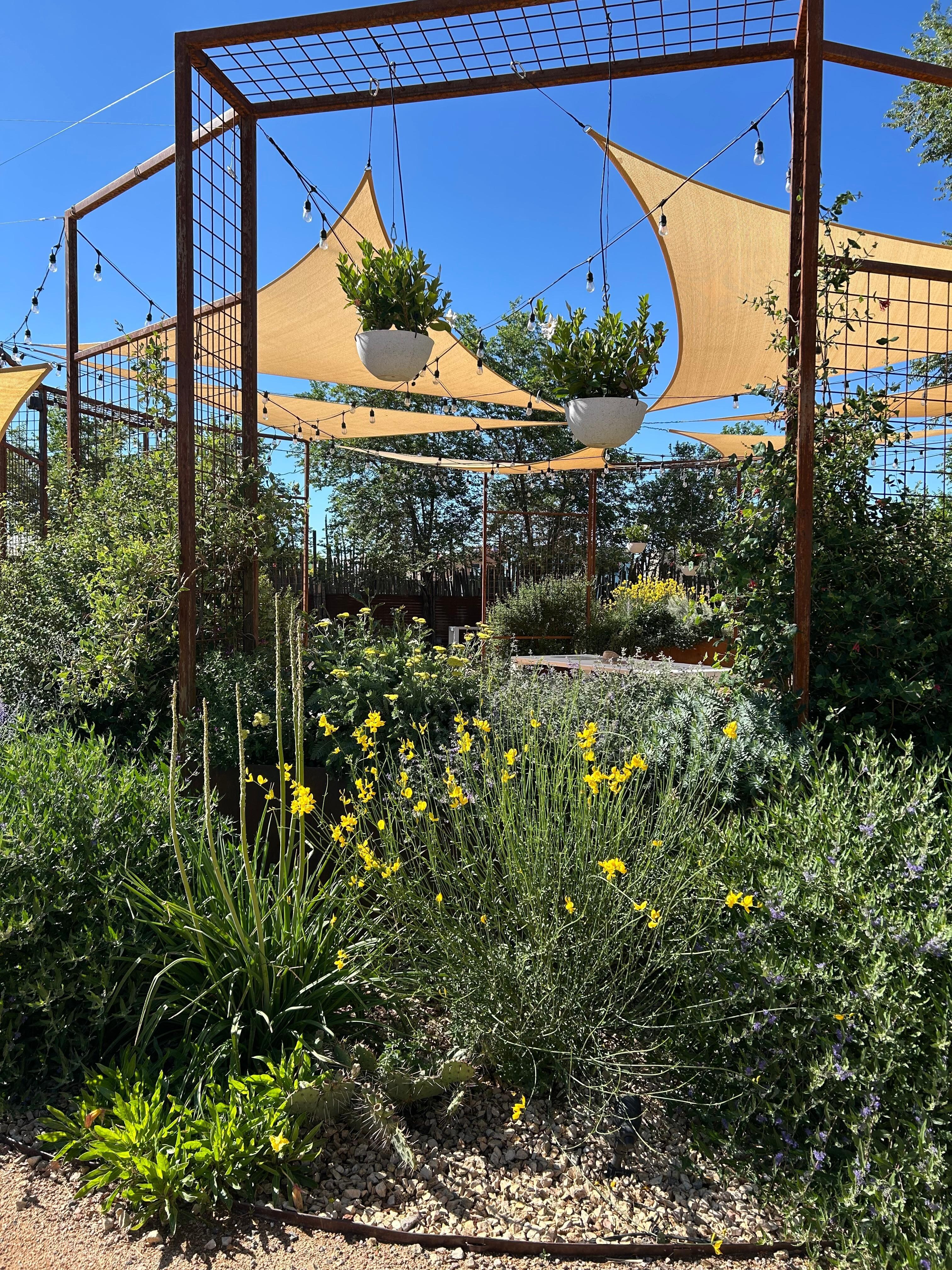 Garden out back