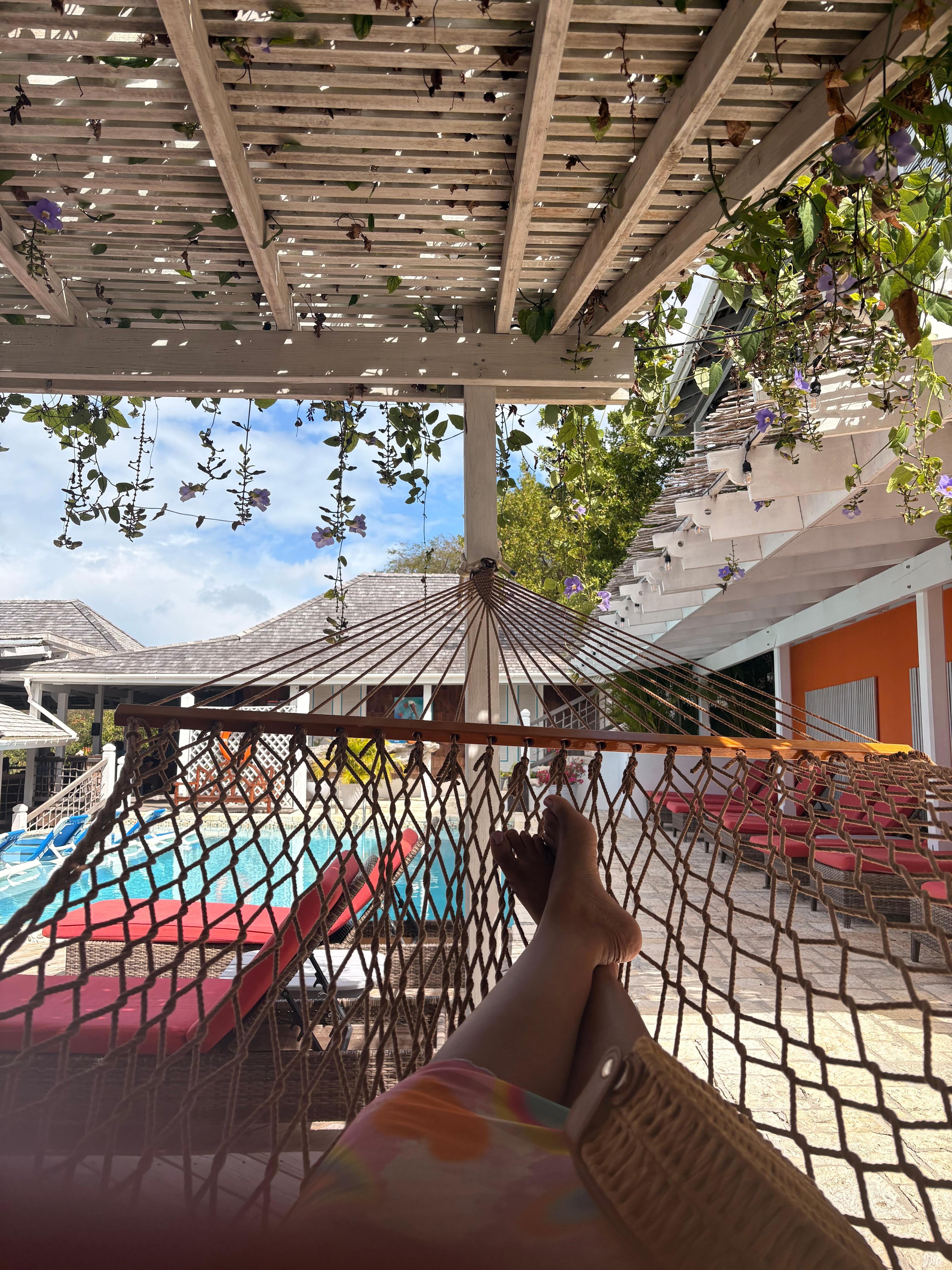 The view from the hammock 