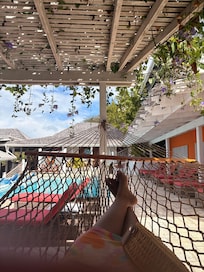 The view from the hammock