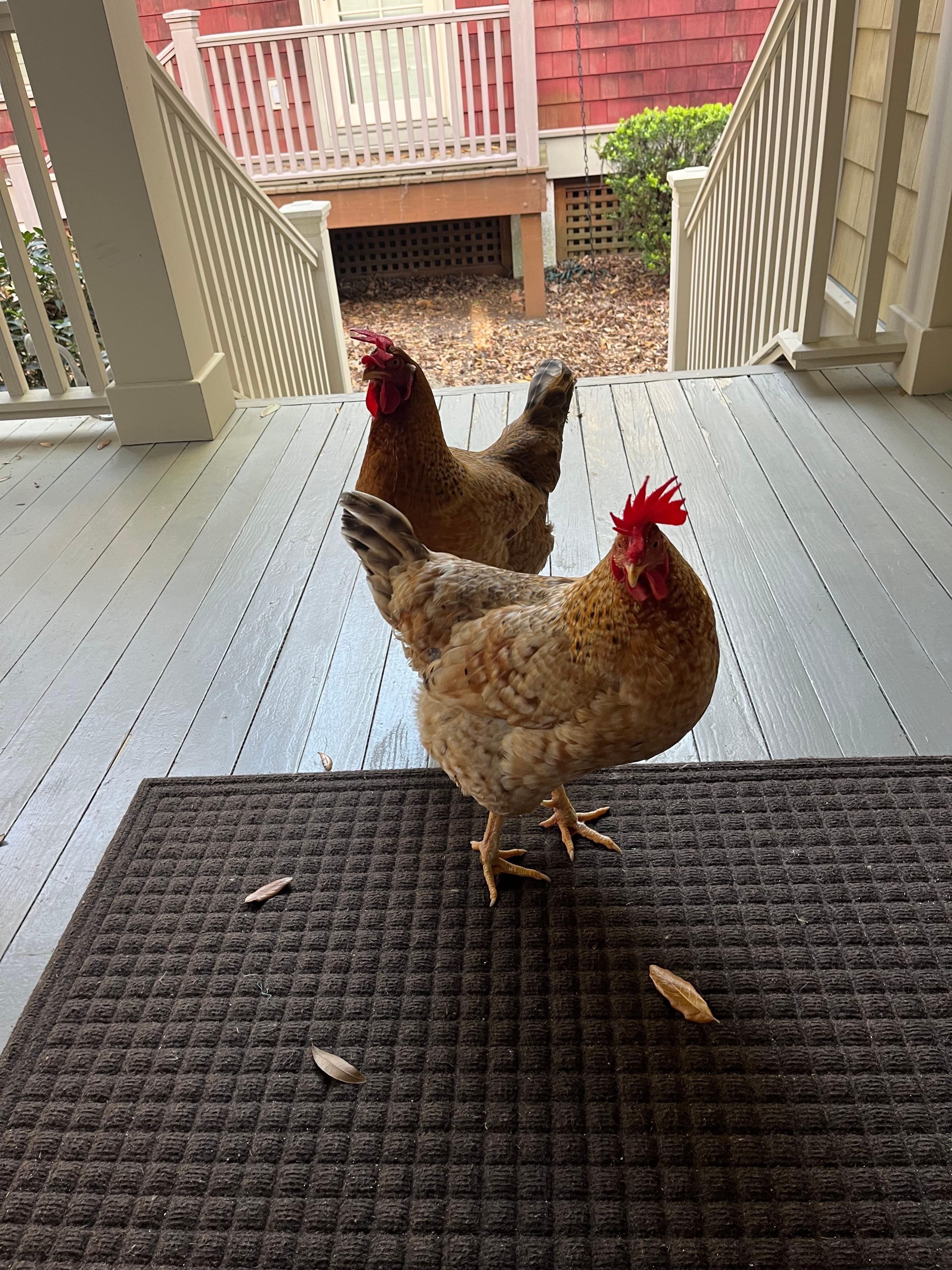 The cottage came with a valet and a Bell Hop