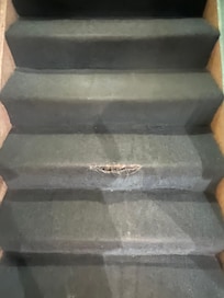 Ripped carpet on stairs