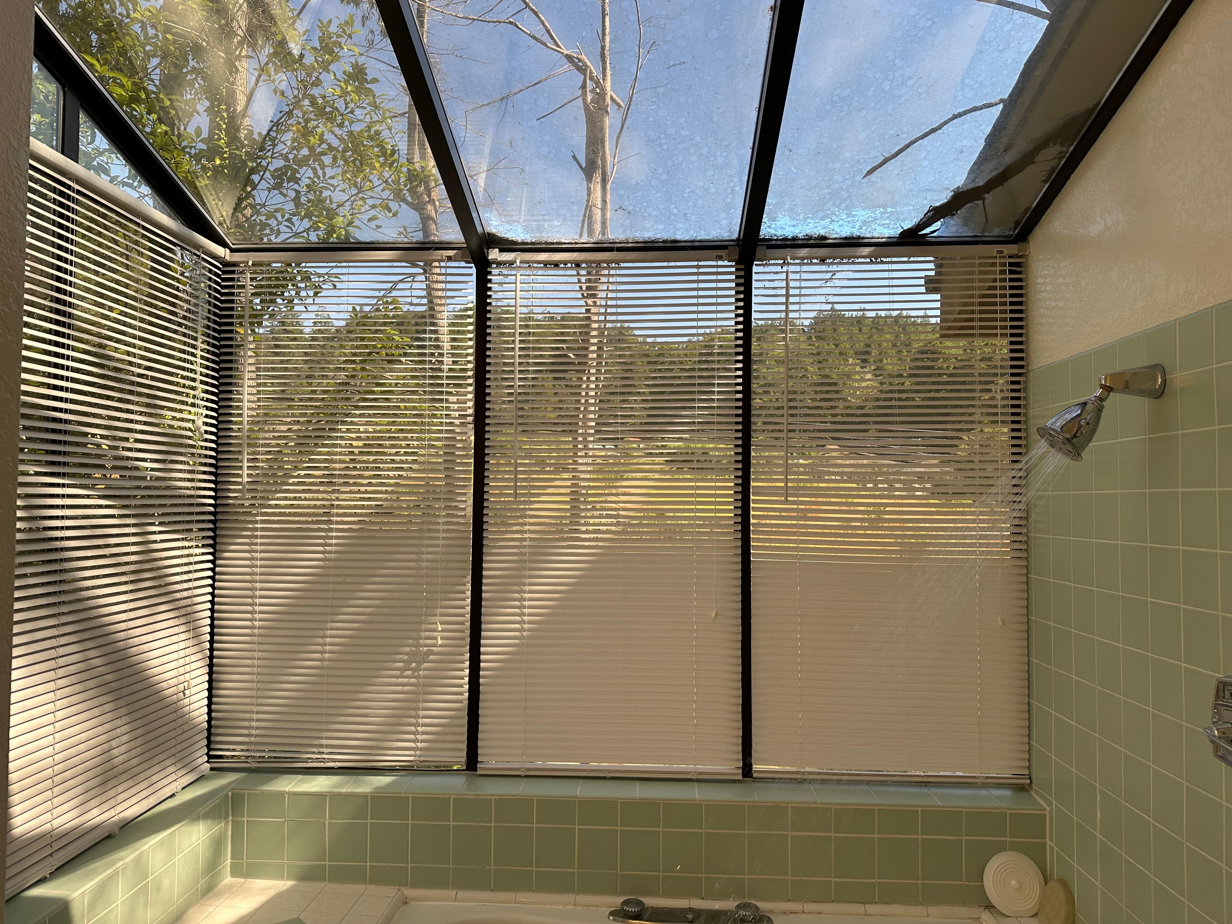 Wonderful shower in the Swan room!