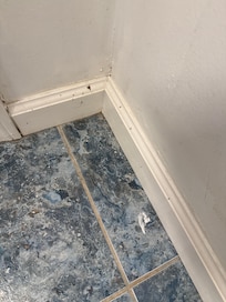 Cobwebs in the bathroom