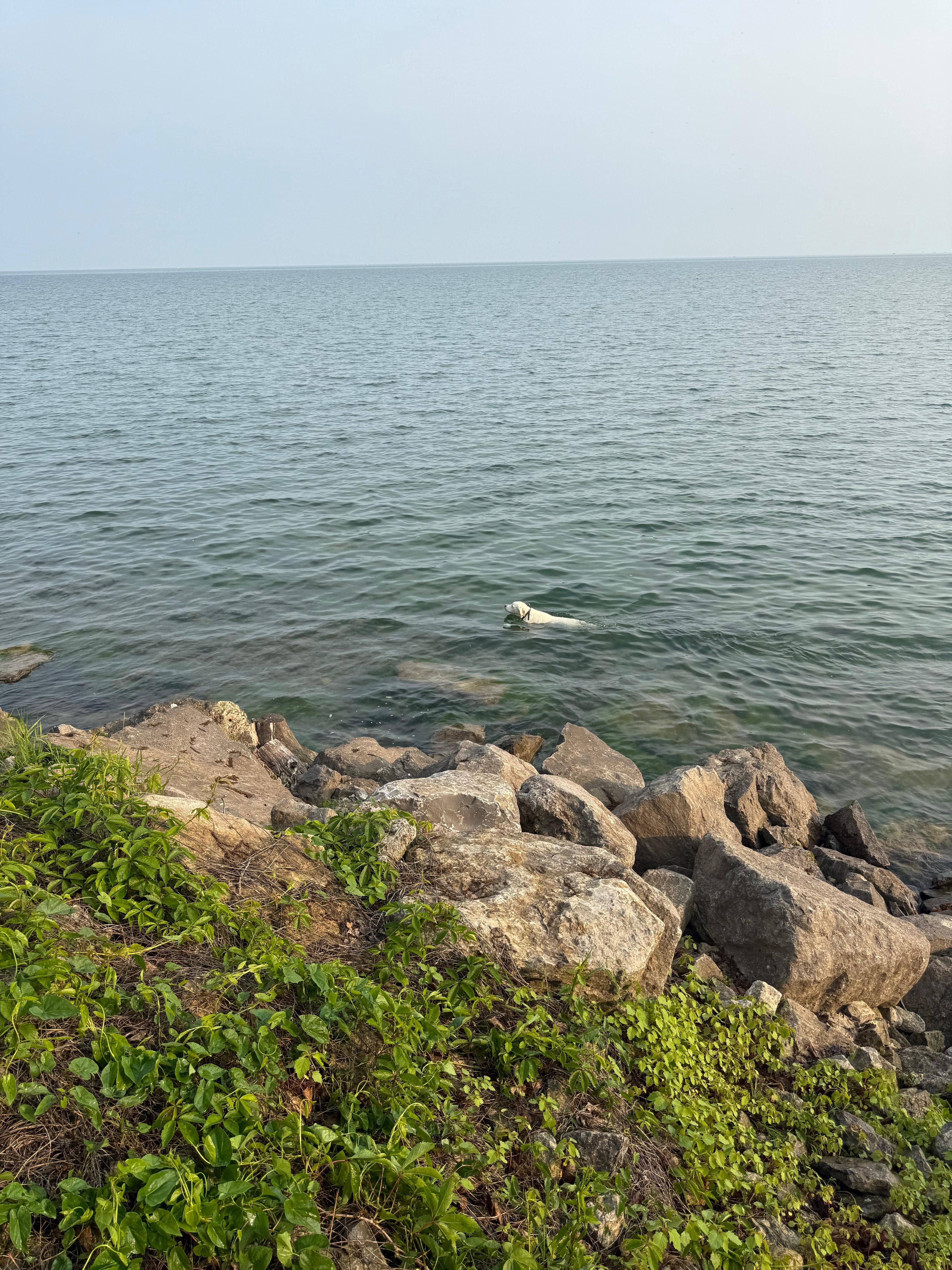 View of Lake Ontario from the house