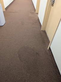 Hall carpeting
