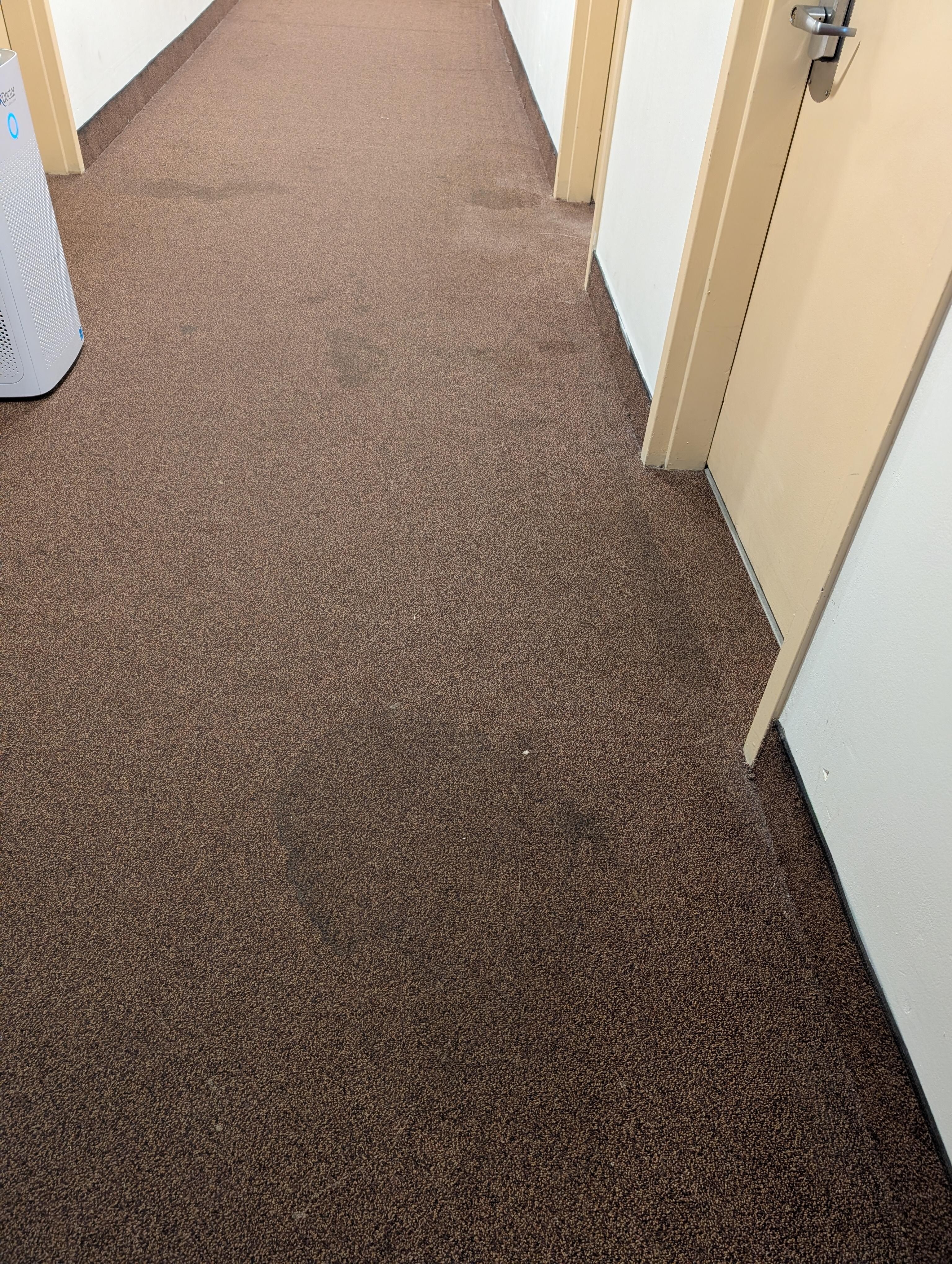 Hall carpeting 
