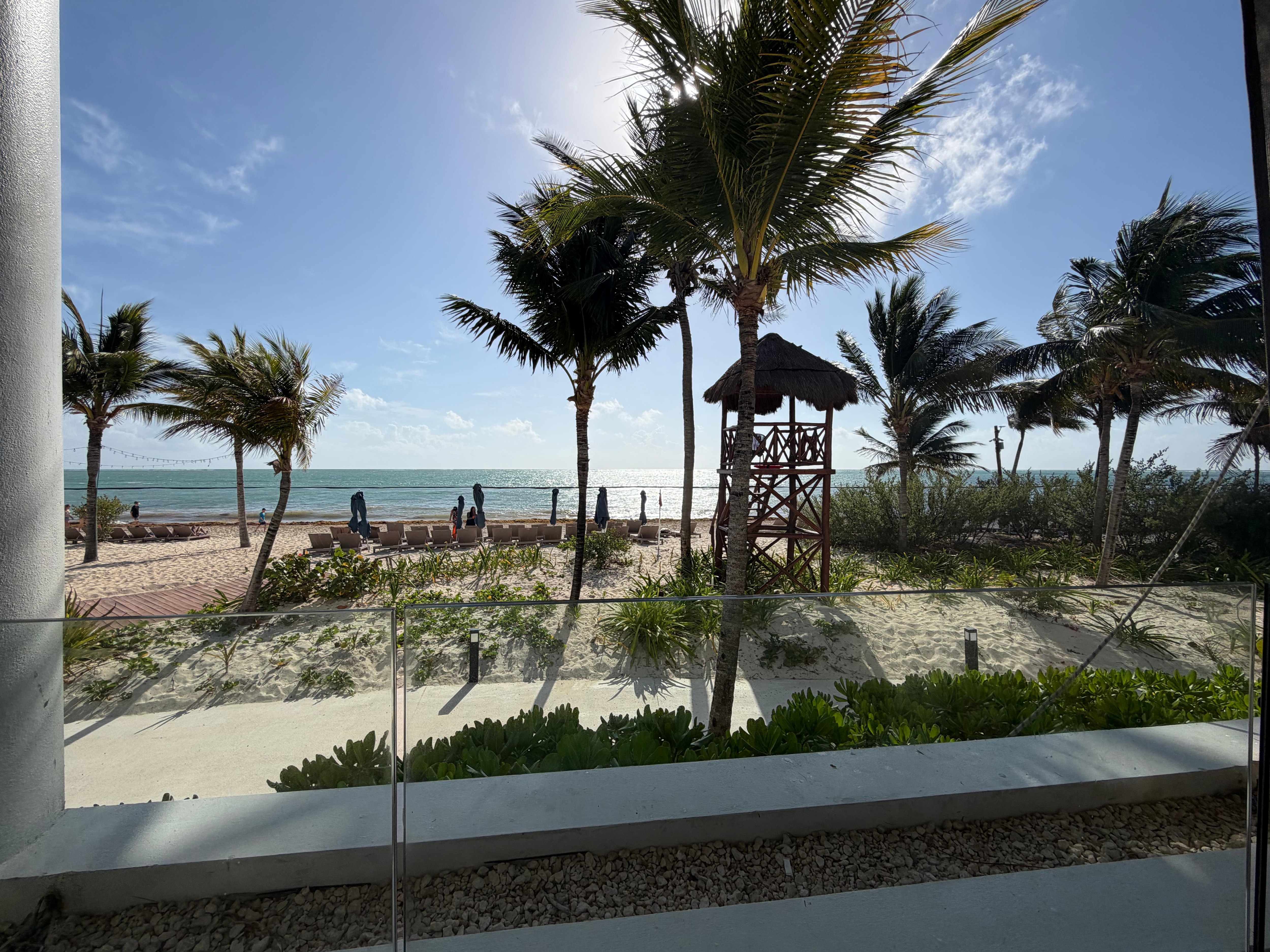 Beaches are covered in seaweed and have crocodiles that shut down the beaches 