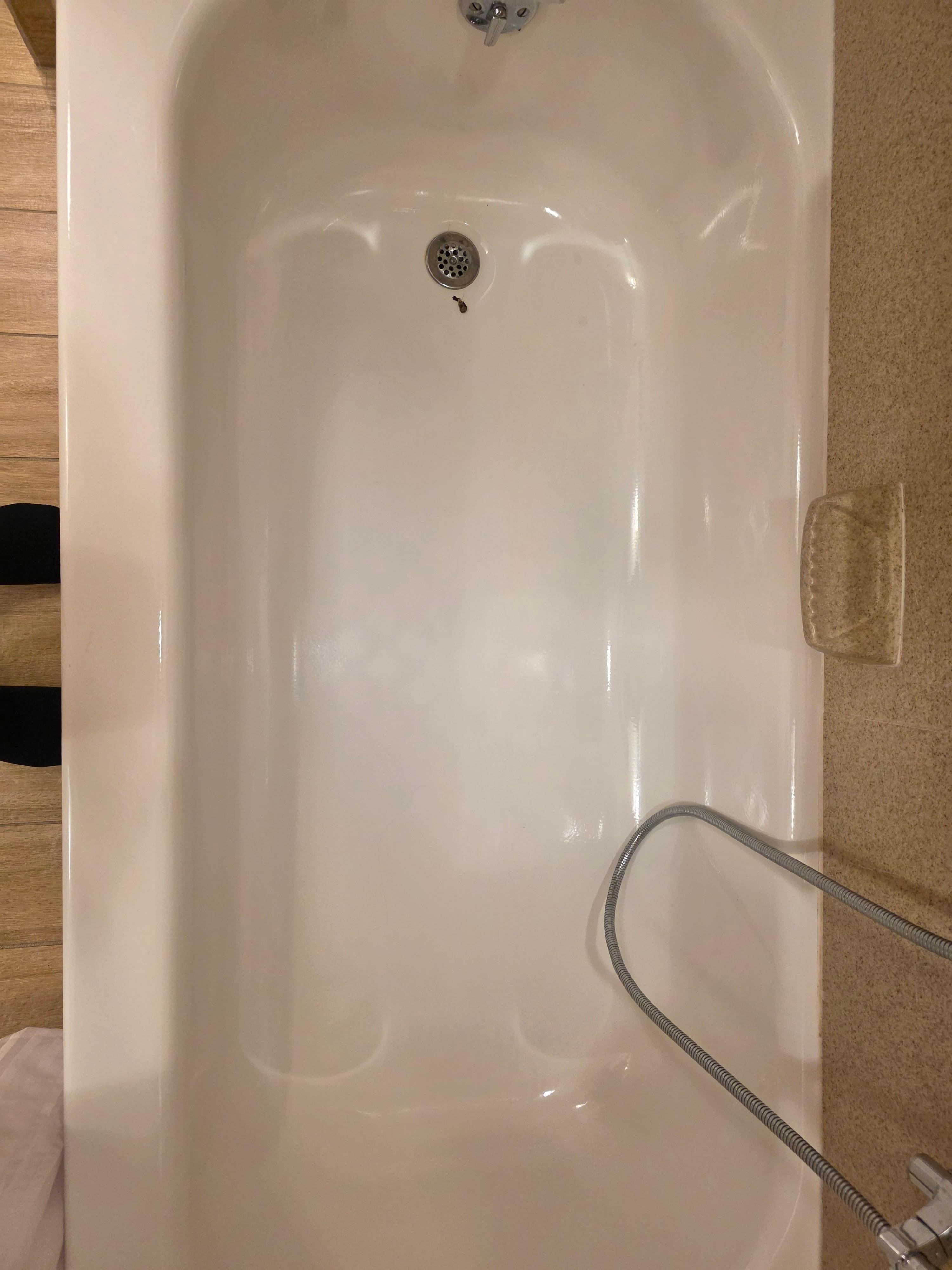 Dead bug ans strans of hair