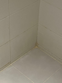 Shower tiles need a good scrub !!!!