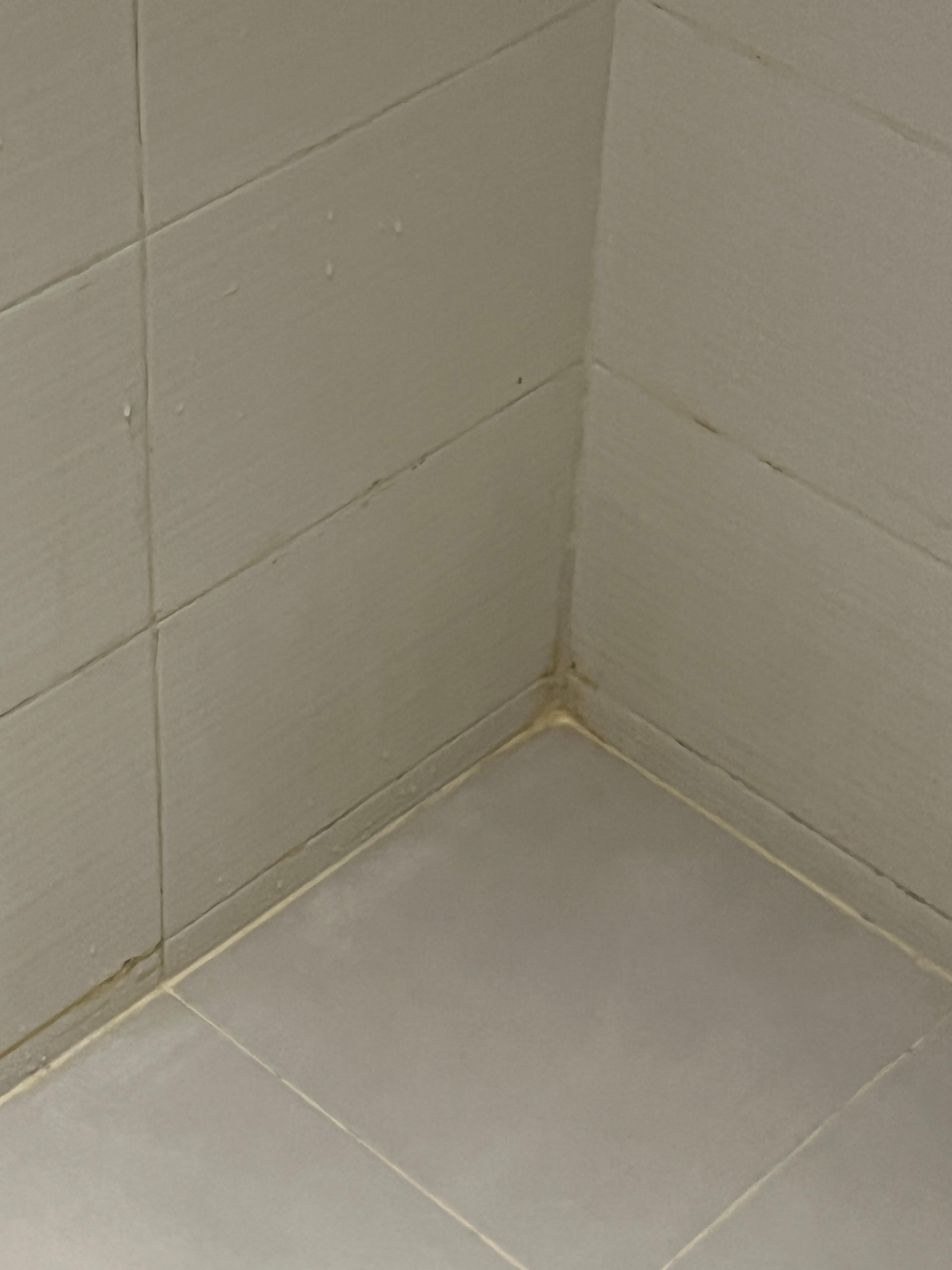 Shower tiles need a good scrub !!!!