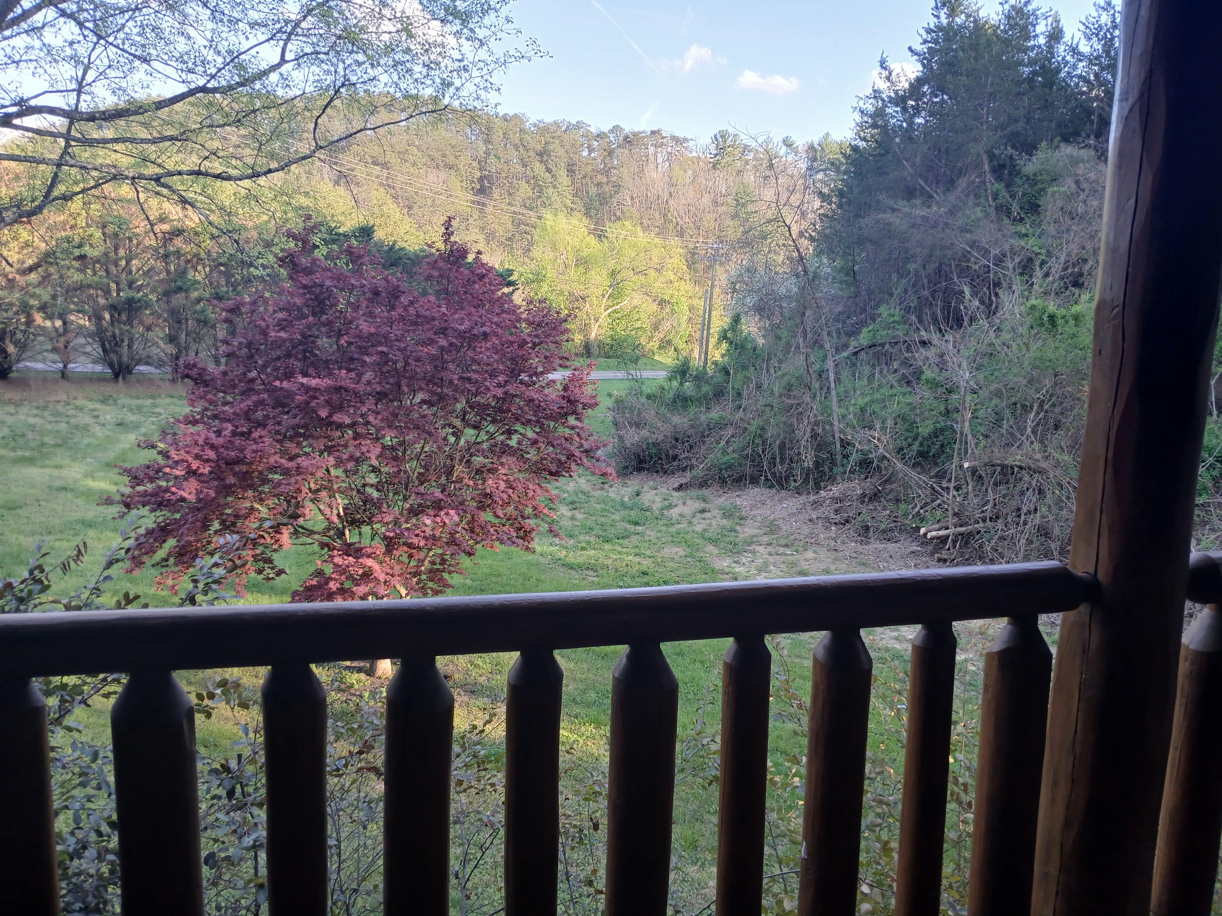 Views from front porch