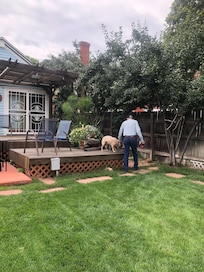 Our pup loved the beautiful garden. So did we!